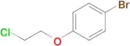1-Bromo-4-(2-chloroethoxy)benzene