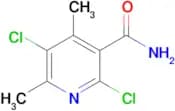 2,5-Dichloro-4,6-dimethylnicotinamide