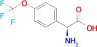 (S)-2-amino-2-(4-(trifluoromethoxy)phenyl)acetic acid