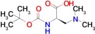 (R)-2-((tert-butoxycarbonyl)amino)-3-(dimethylamino)propanoic acid