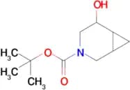 3-Azabicyclo[4.1.0]heptane-3-carboxylic acid, 5-hydroxy-, 1,1-dimethylethyl ester