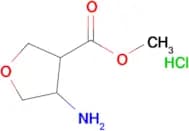 4-Amino-tetrahydro-furan-3-carboxylic acid methyl ester hydrochloride