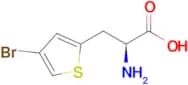 (s)-2-Amino-3-(4-bromothiophen-2-yl)propanoic acid