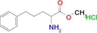 Methyl 2-amino-5-phenylpentanoate hydrochloride