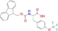 (S)-2-((((9H-fluoren-9-yl)methoxy)carbonyl)amino)-3-(4-(trifluoromethoxy)phenyl)propanoic acid