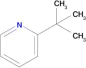 2-(Tert-butyl)pyridine