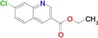 Ethyl 7-chloroquinoline-3-carboxylate