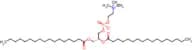 (R)-2,3-bis(heptadecanoyloxy)propyl (2-(trimethylammonio)ethyl) phosphate