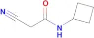 2-Cyano-N-cyclobutylacetamide