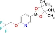 5-(4,4,5,5-Tetramethyl-1,3,2-dioxaborolan-2-yl)-2-(2,2,2-trifluoroethoxy)pyridine