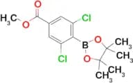 Methyl 3,5-dichloro-4-(4,4,5,5-tetramethyl-1,3,2-dioxaborolan-2-yl)benzoate