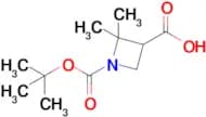1-(tert-Butoxycarbonyl)-2,2-dimethylazetidine-3-carboxylic acid