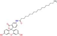 N-(3′,6′-Dihydroxy-3-oxo-3H-spiro[isobenzofuran-1,9′-xanthen]-5-yl)stearamide