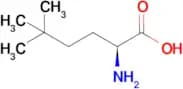(S)-2-Amino-5,5-dimethylhexanoic acid