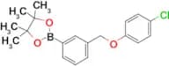 2-(3-((4-Chlorophenoxy)methyl)phenyl)-4,4,5,5-tetramethyl-1,3,2-dioxaborolane