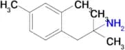 1-(2,4-Dimethylphenyl)-2-methylpropan-2-amine