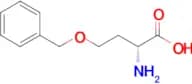 (R)-2-Amino-4-(benzyloxy)butanoic acid