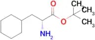 (R)-tert-Butyl 2-amino-3-cyclohexylpropanoate