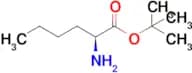 (S)-tert-Butyl 2-aminohexanoate