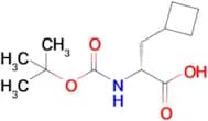 (R)-2-((tert-Butoxycarbonyl)amino)-3-cyclobutylpropanoic acid