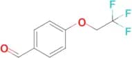 4-(2,2,2-Trifluoroethoxy)benzaldehyde