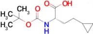 (S)-2-((tert-Butoxycarbonyl)amino)-4-cyclopropylbutanoic acid