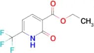 Ethyl 2-oxo-6-(trifluoromethyl)-1,2-dihydropyridine-3-carboxylate