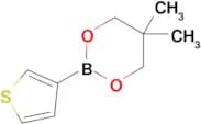 5,5-Dimethyl-2-(thiophen-3-yl)-1,3,2-dioxaborinane