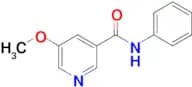 5-Methoxy-N-phenylnicotinamide