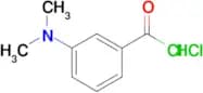 3-(Dimethylamino)benzoyl chloride hydrochloride