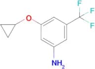 3-Cyclopropoxy-5-(trifluoromethyl)aniline
