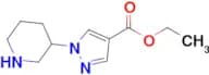 Ethyl 1-(piperidin-3-yl)-1H-pyrazole-4-carboxylate