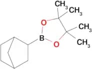 2-(Bicyclo[2.2.1]Heptan-2-yl)-4,4,5,5-tetramethyl-1,3,2-dioxaborolane