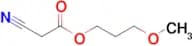 3-Methoxypropyl 2-cyanoacetate