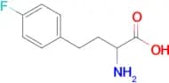 2-Amino-4-(4-fluorophenyl)butanoic acid