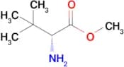 Methyl (R)-2-amino-3,3-dimethylbutanoate