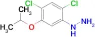 (2,4-Dichloro-5-isopropoxyphenyl)hydrazine