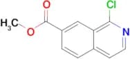 Methyl 1-chloroisoquinoline-7-carboxylate
