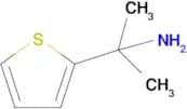 2-(Thiophen-2-yl)propan-2-amine