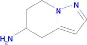 4,5,6,7-Tetrahydropyrazolo[1,5-a]pyridin-5-amine