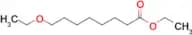 Ethyl 8-ethoxyoctanoate