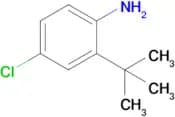2-(Tert-butyl)-4-chloroaniline