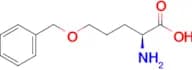 (S)-2-amino-5-(benzyloxy)pentanoic acid