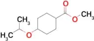 Methyl 4-isopropoxycyclohexanecarboxylate