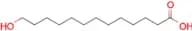 13-Hydroxytridecanoic acid