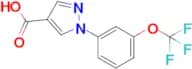 1-(3-(Trifluoromethoxy)phenyl)-1H-pyrazole-4-carboxylic acid