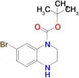 tert-Butyl 7-bromo-3,4-dihydroquinoxaline-1(2H)-carboxylate