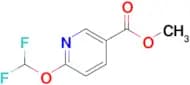 Methyl 6-(difluoromethoxy)nicotinate