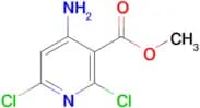 Methyl 4-amino-2,6-dichloronicotinate
