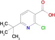 6-(tert-Butyl)-2-chloronicotinic acid